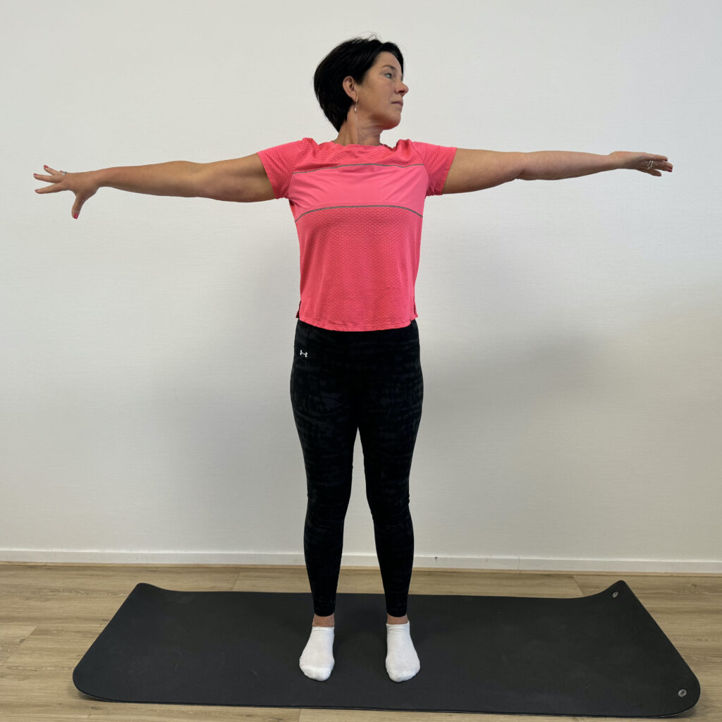 nekpijn en beperkte mobiliteit bij stijve nek fysiotherapie Leeuwarden